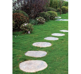 Pisante Pedra Grande